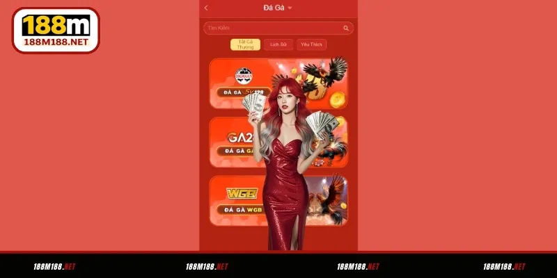 Đá gà trực tiếp Full HD với những màn đấu kịch tính tại 188M