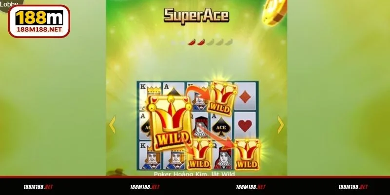 Nắm rõ về Siêu Cấp ACE 188M