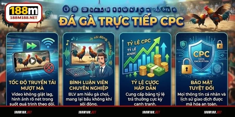 Ưu điểm nổi bật của đá gà trực tiếp CPC